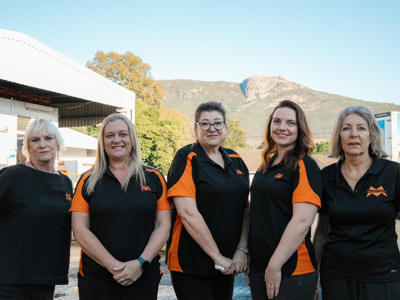 The Malan's Dairy office team with the Paarl mountains behind