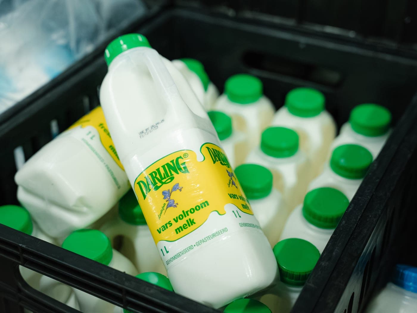 Milk range from Malan's Dairy