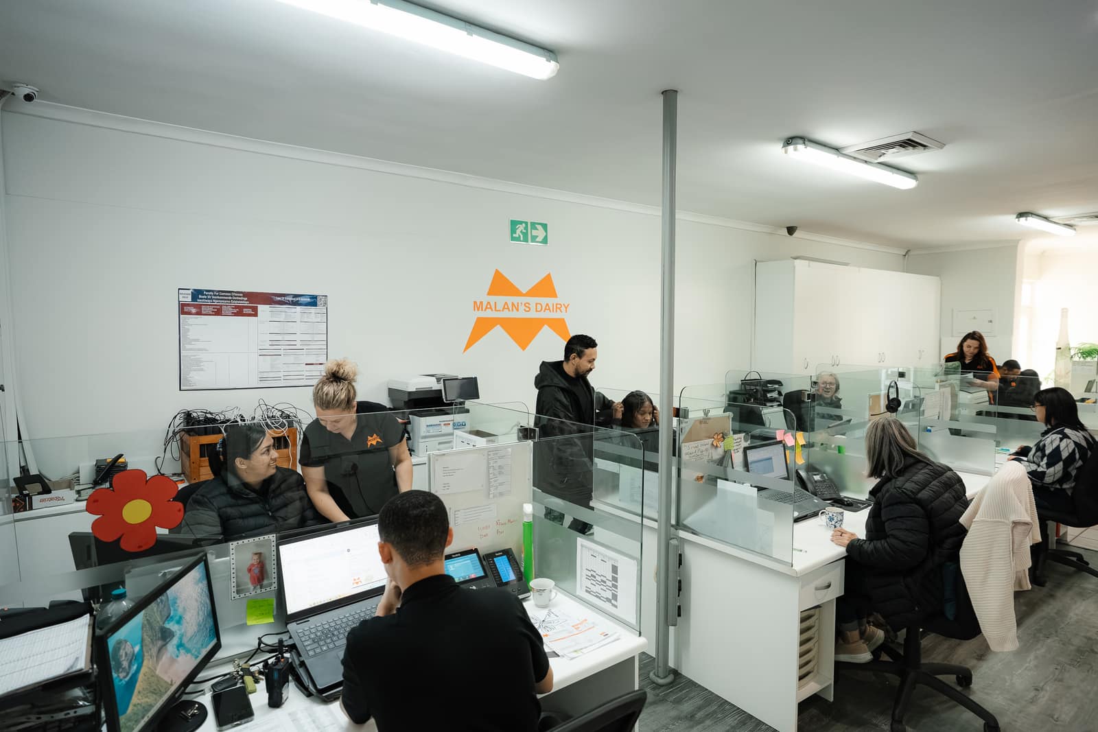 The busy Malan's Dairy order office with staff at their desks
