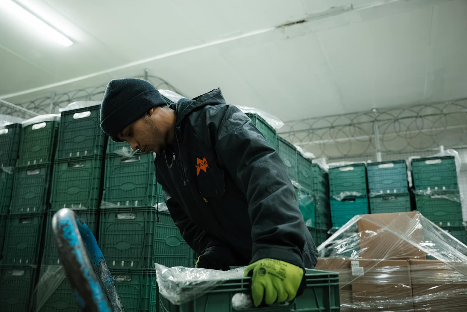 A Malan's Dairy warehouse worker handling green delivery crates