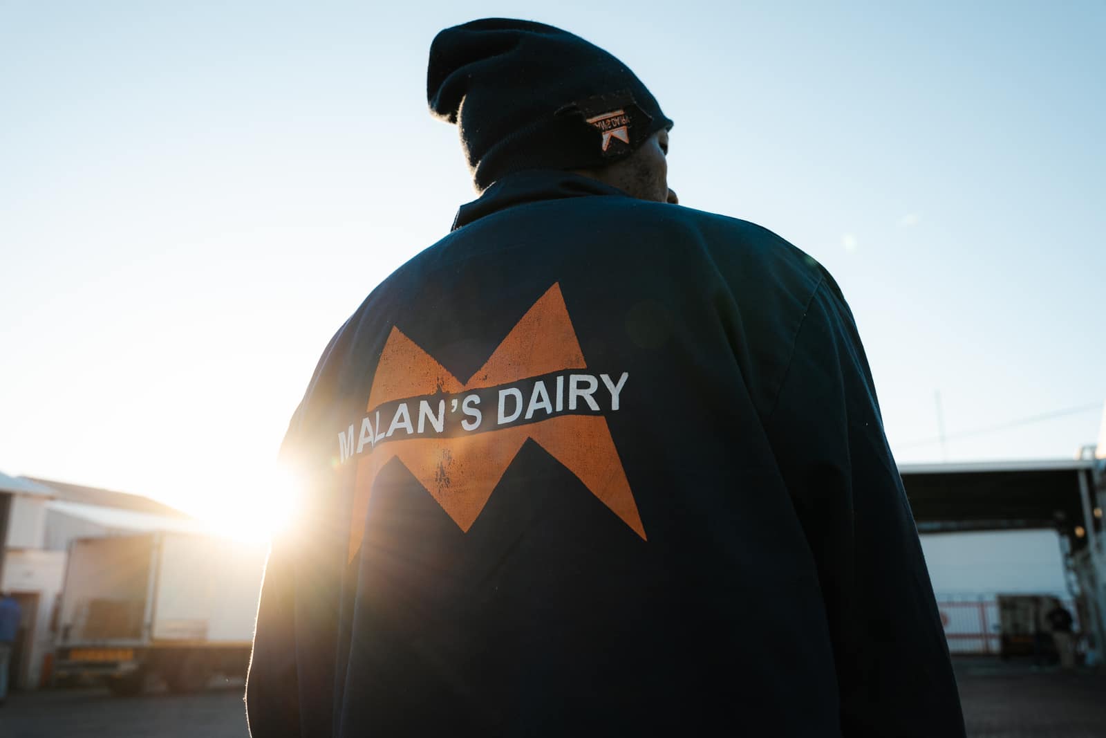 A Malan's Dairy worker in a branded overall facing the late-afternoon sun