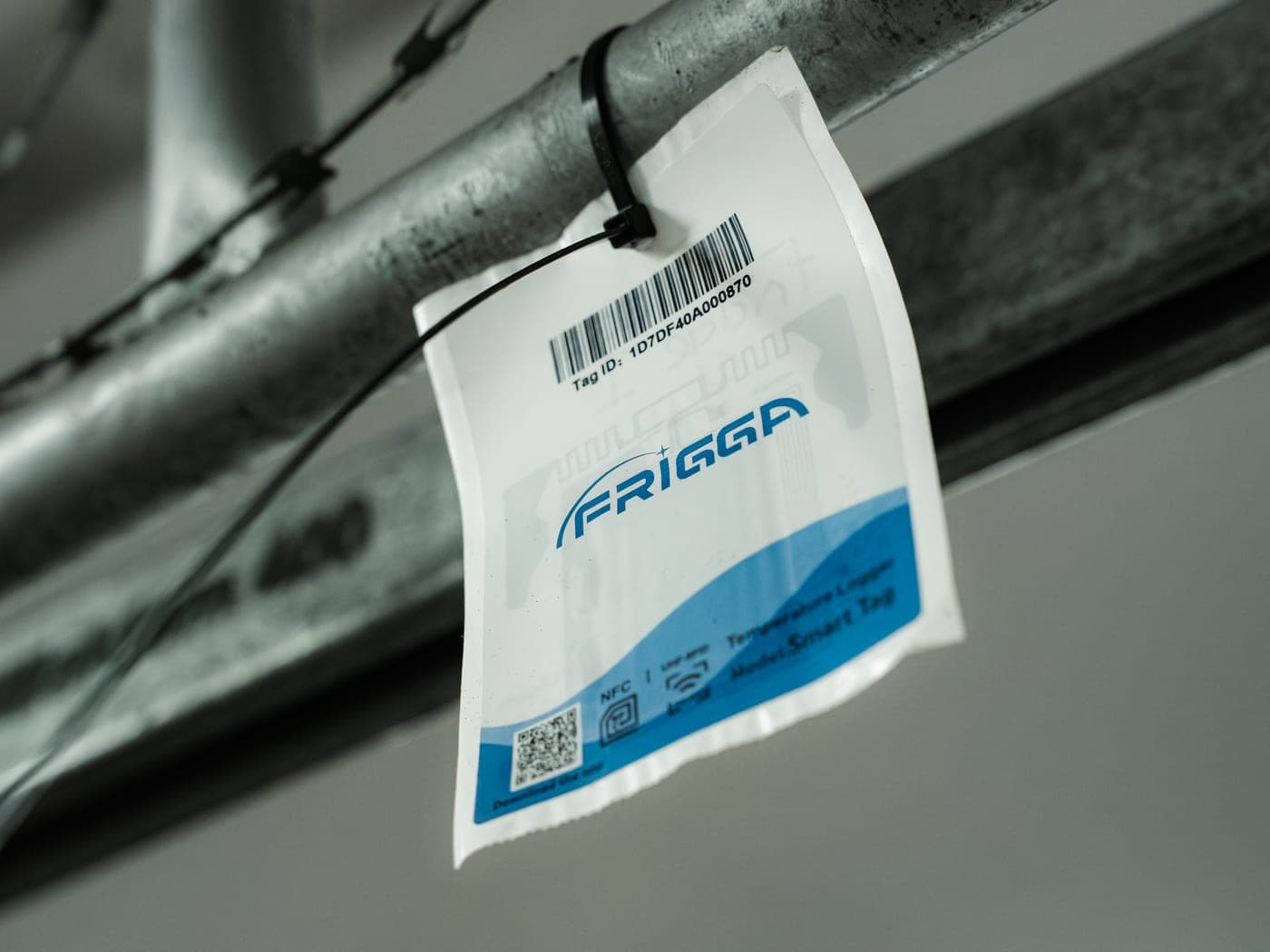 A temperature data-logger tag in a Malan's Dairy cold room